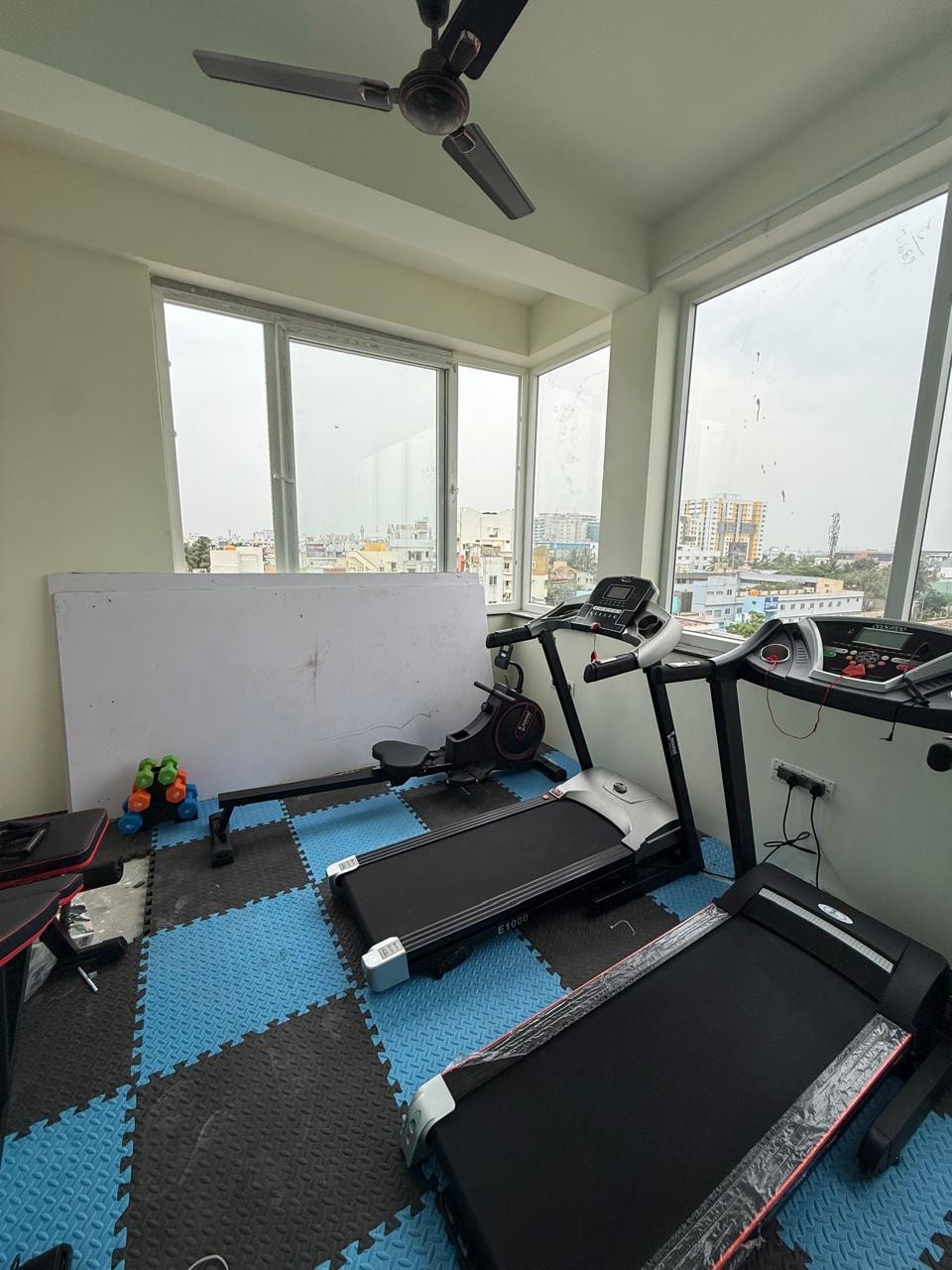 Oasis Living gym — treadmill and cross-trainer with AC